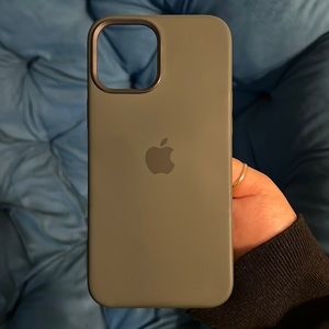 iPhone 12 pro max Magsafe sage green apple phone case